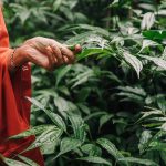 découvrez le monde fascinant de l'exploration sensorielle, où chaque expérience éveille vos sens. plongez dans des activités innovantes et engageantes qui stimulent la vue, l'ouïe, le goût, l'odorat et le toucher, et transformez votre perception du monde qui vous entoure.