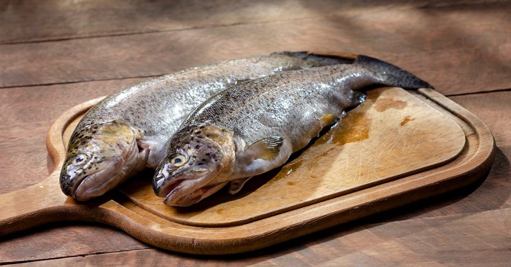 découvrez nos délicieuses recettes riches en protéines, idéales pour soutenir votre santé et votre énergie au quotidien. que vous soyez sportif ou simplement en quête d'une alimentation équilibrée, explorez des plats savoureux et nutritifs qui raviront vos papilles.