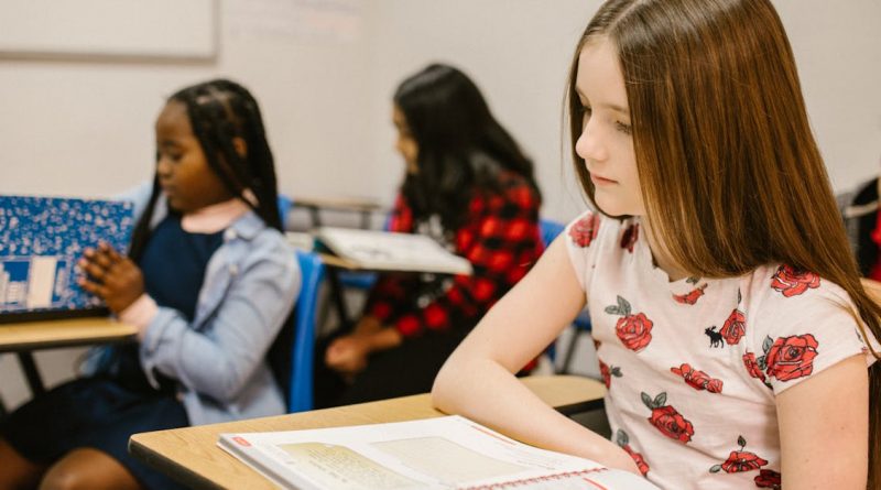 découvrez des stratégies efficaces pour prévenir le harcèlement à l'école et dans la vie quotidienne. conseils, ressources et outils pour protéger les enfants et favoriser un environnement respectueux et sécurisant.