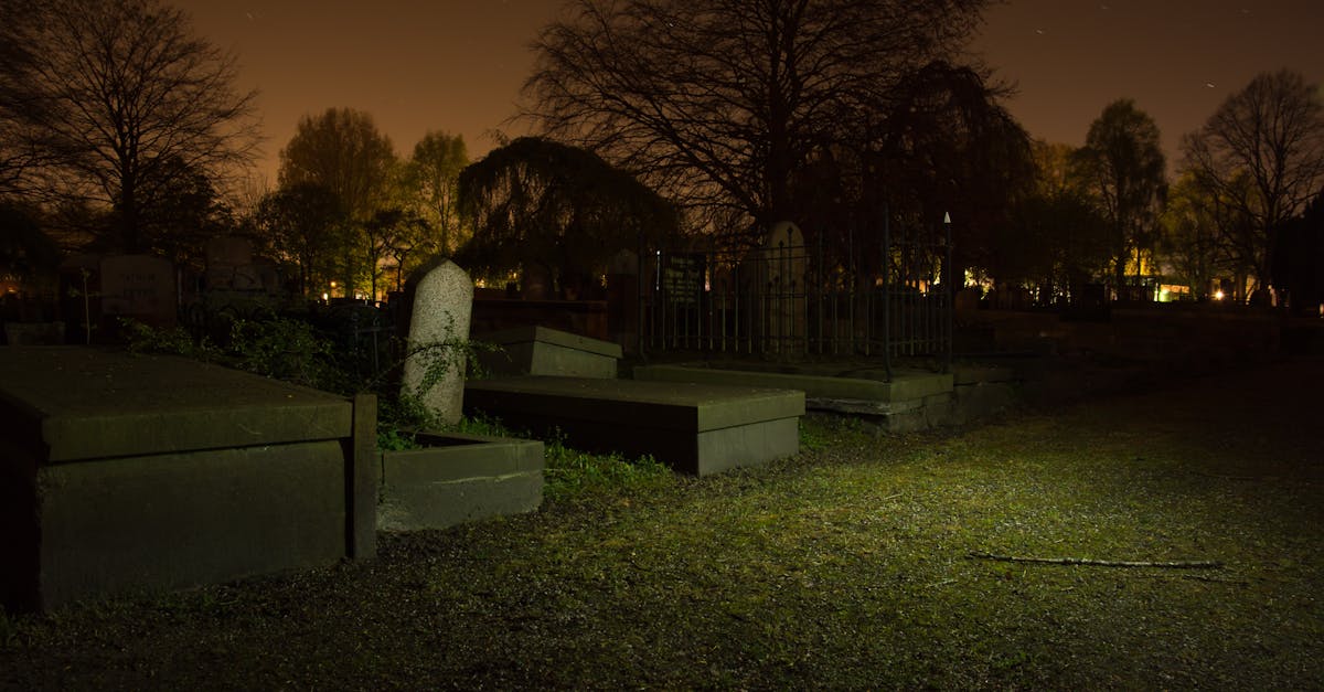 découvrez la signification de la mort, ses aspects culturels, philosophiques et scientifiques, ainsi que son impact sur la société et la compréhension humaine.