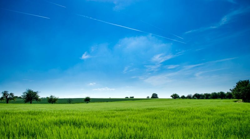 découvrez des articles, conseils et actualités sur l'environnement, la préservation de la nature et le développement durable pour protéger la planète au quotidien.