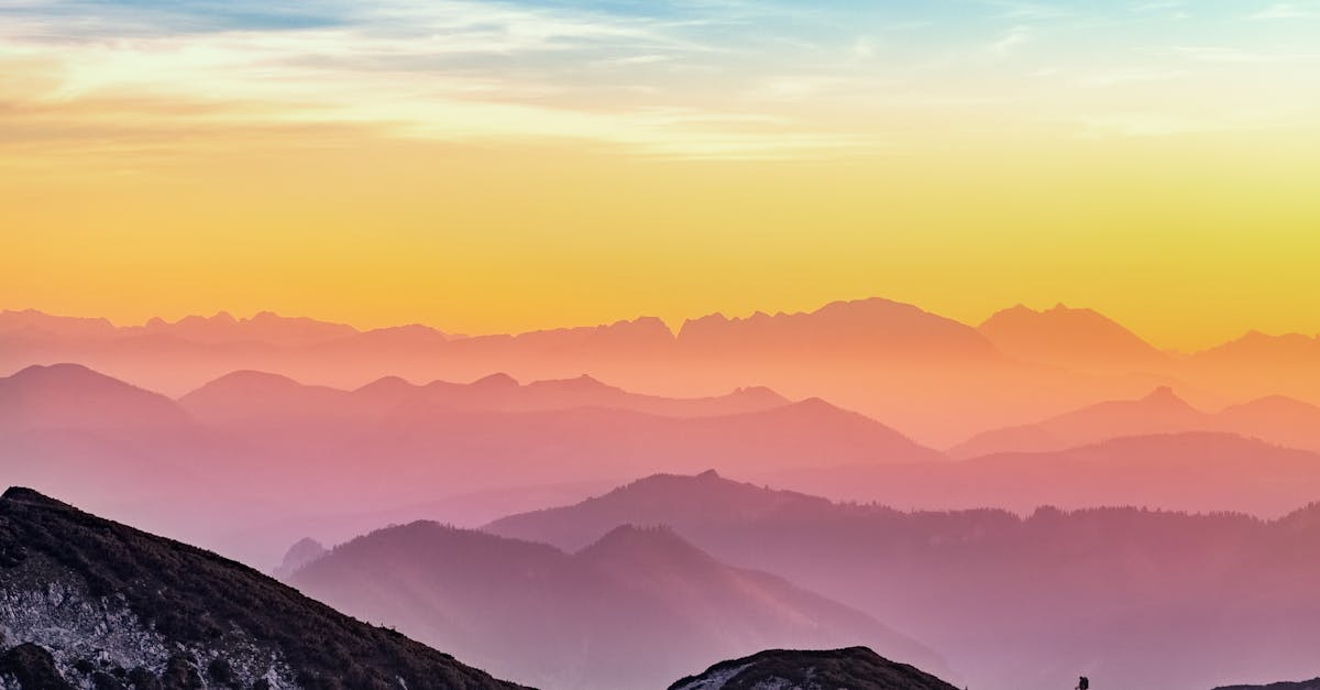 découvrez la beauté et la richesse de la nature à travers nos articles, conseils et inspirations pour mieux comprendre, préserver et admirer l'environnement qui nous entoure.