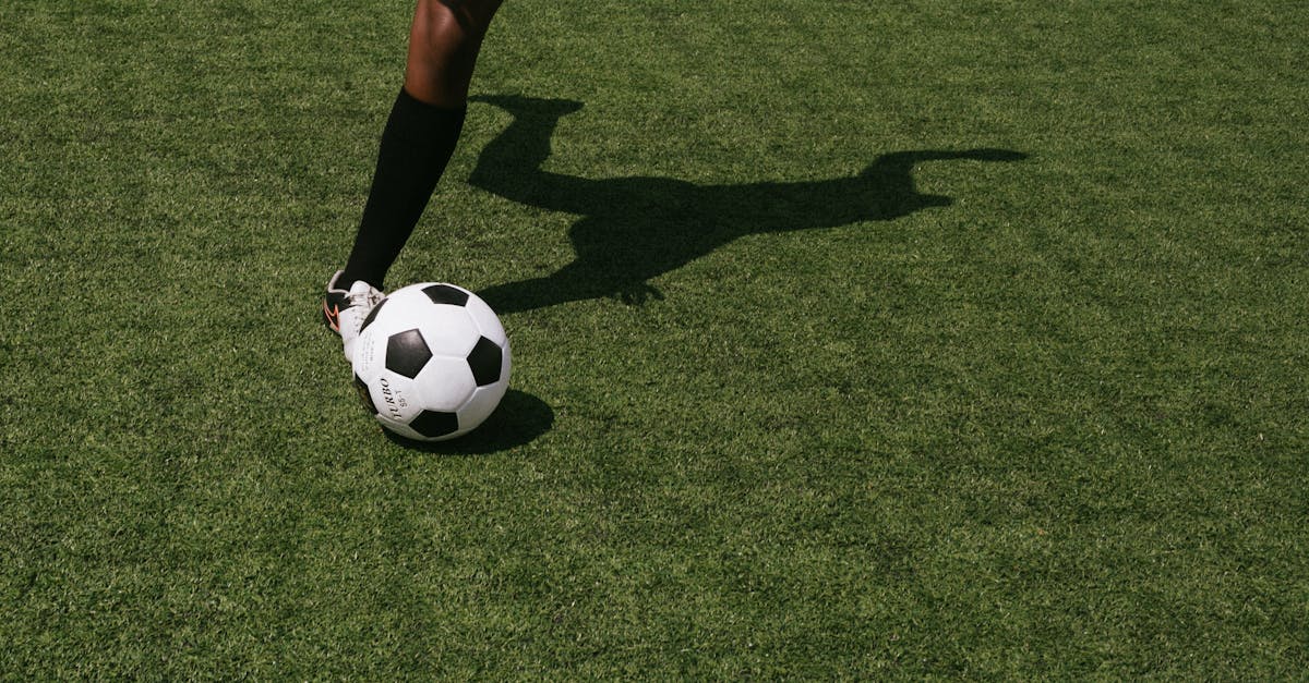 découvrez les principales différences physiques entre les individus, leurs origines et leur impact sur la santé, le sport et la vie quotidienne, dans un article informatif et accessible à tous.