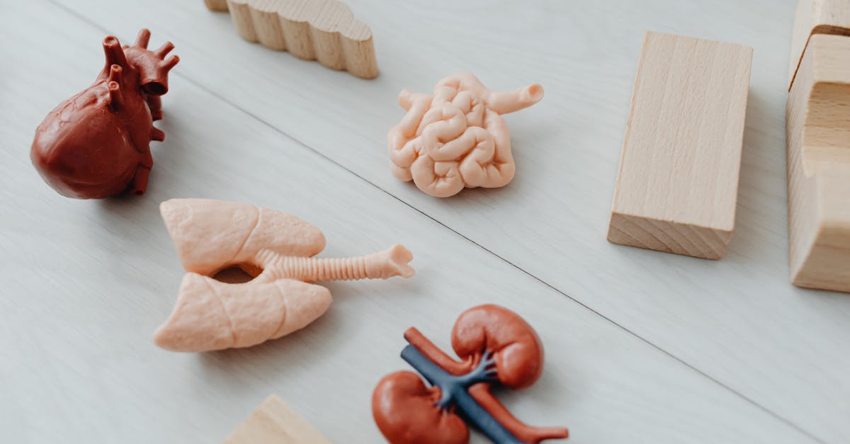 découvrez le playful learning : une approche ludique de l'apprentissage qui stimule la créativité, développe les compétences et motive les enfants à apprendre en s'amusant.
