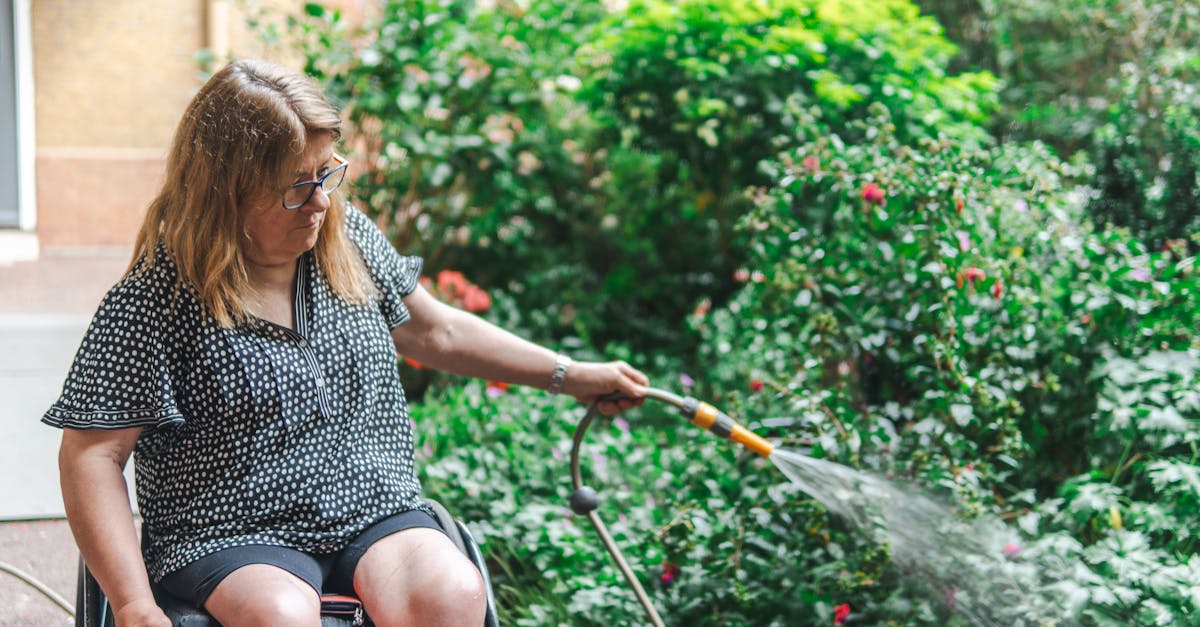 découvrez la résilience, cette capacité essentielle à surmonter les épreuves et à rebondir face aux difficultés. conseils, astuces et ressources pour développer votre force intérieure au quotidien.