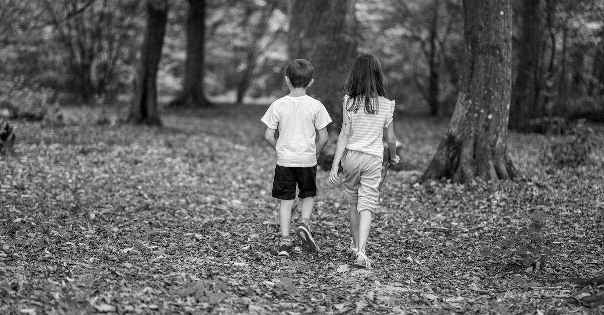 découvrez les causes, conséquences et solutions pour gérer la rivalité entre frères et sœurs. conseils pratiques pour instaurer l’harmonie familiale et favoriser des relations positives.