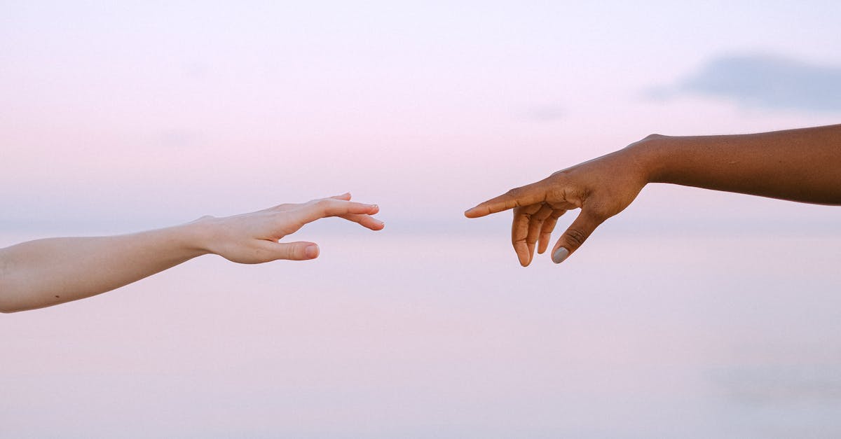 découvrez la notion de solidarité, son importance dans la société, et comment elle renforce les liens humains en favorisant l’entraide, la coopération et le soutien mutuel au quotidien.