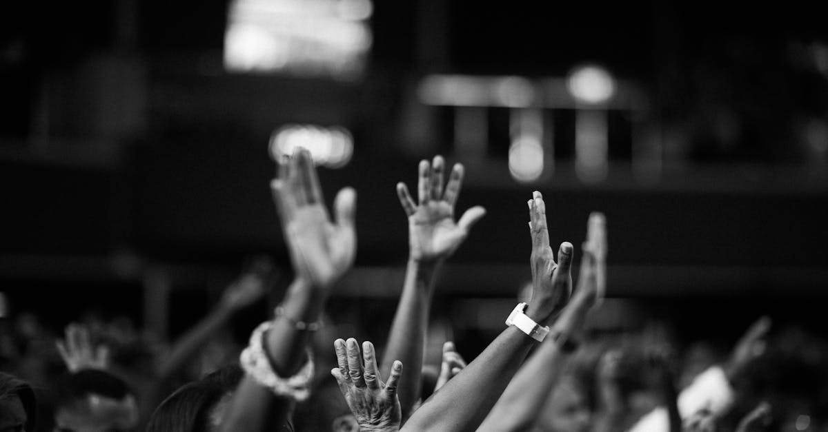 découvrez l'importance de la solidarité, ses bénéfices pour la société et comment chacun peut y contribuer au quotidien pour construire un monde plus uni et solidaire.